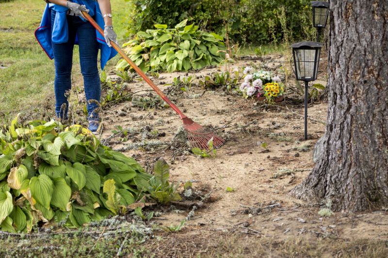 Increase Your Land Clearing Business with an AI Driven, Targeted Website